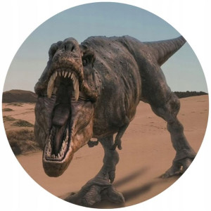Opłatek Na Tort 20cm Dinozaury Twój Napis Imię