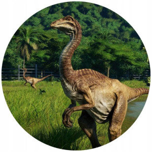 Opłatek Na Tort 20cm Dinozaury Twój Napis Imię
