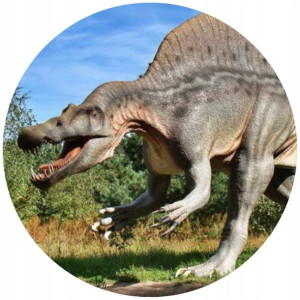 Opłatek Na Tort 20cm Dinozaury Twój Napis Imię