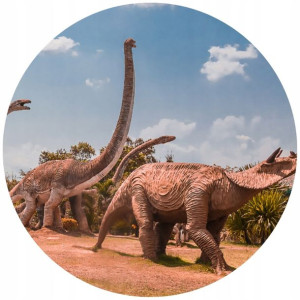 Opłatek Na Tort 20cm Dinozaury Twój Napis Imię