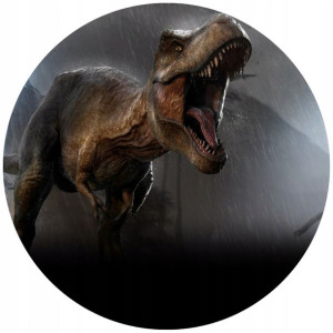 Opłatek Na Tort 20cm Dinozaury Twój Napis Imię