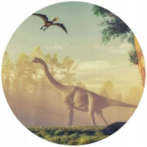 Opłatek Na Tort 20cm Dinozaury Twój Napis Imię
