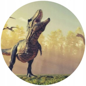 Opłatek Na Tort 20cm Dinozaury Twój Napis Imię