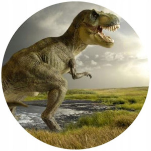 Opłatek Na Tort 20cm Dinozaury Twój Napis Imię