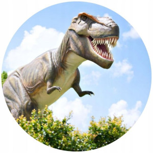 Opłatek Na Tort 20cm Dinozaury Twój Napis Imię