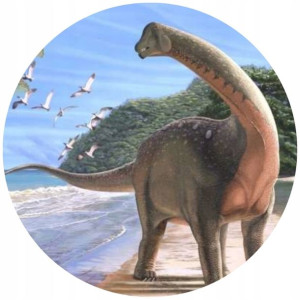 Opłatek Na Tort 20cm Dinozaury Twój Napis Imię