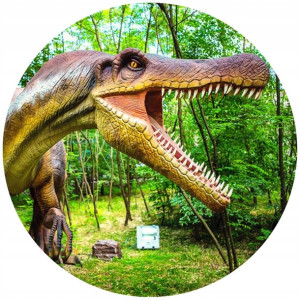 Opłatek Na Tort 20cm Dinozaury Twój Napis Imię