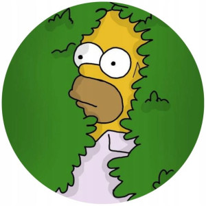 Opłatek Na Tort 20cm Simpsonowie Twój Napis Gratis
