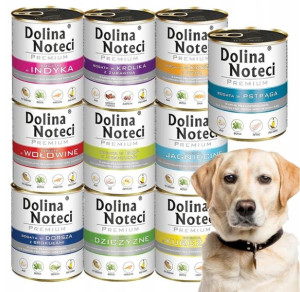 DOLINA NOTECI PREMIUM ZESTAW mix smaków 10x 800g