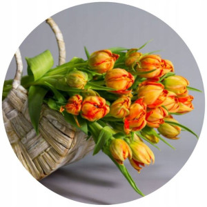 Opłatek Na Tort 20cm Kwiaty Tulipany Twój Napis