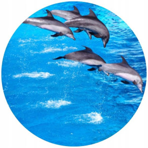 Opłatek Na Tort 20cm Delfin Twój Napis Imię Ocean
