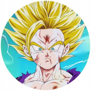 Opłatek Na Tort 20cm Dragon Ball Manga Twój Napis