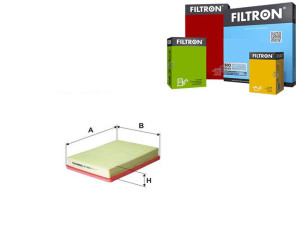 Filtr Powietrza Filtron