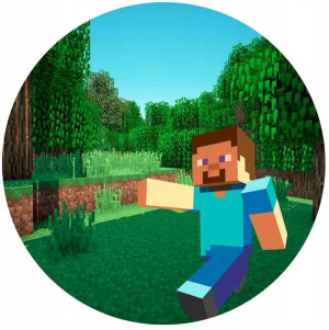 Opłatek Na Tort 20cm Minecraft Twój Napis Gratis