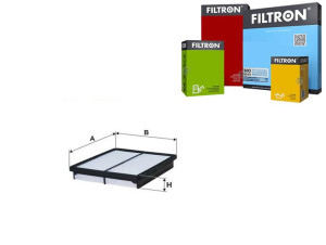 Filtr Powietrza Filtron