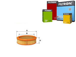 Filtr Powietrza Polonez 1.6 Filtron