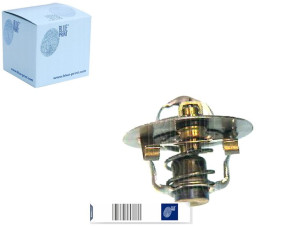 Termostat Opel Blue Print