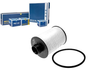 Filtr Paliwa Fiat 2,8jtd 04- 1,3jtd 2,2 Hdi Meyle