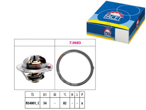 Termostat Hyundai I30 Facet