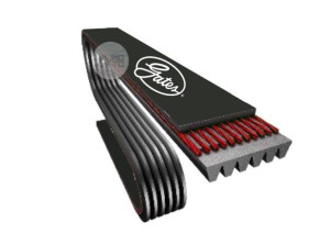 Pasek Wielorowkowy (4pk903) Gates