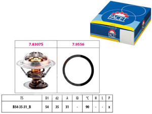 Termostat Facet 2714178 271664 5 9180811