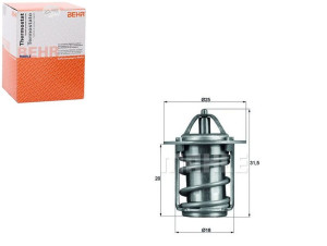 Termostat [behr]
