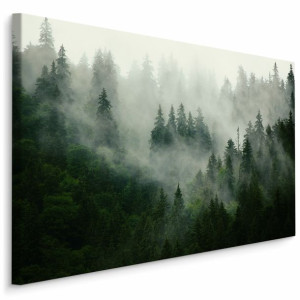 Obraz Ścienny CANVAS Las WE MGLE Krajobraz Przyroda Dekoracja 30cm x 20cm