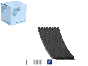 Pasek Wielorowkowy (8pk2512) Blue Print