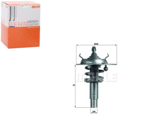Termostat Mercedes 90c M271 W203 211 Behr