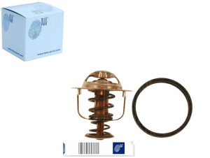Termostat Renault Blue Print