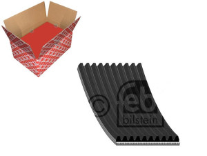 Pasek Klinowy Wielorowkowy Febi Bilstein 504033915