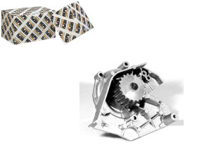 Pompa Wody Citroen Berlingo Evasion Xantia Xm Fiat
