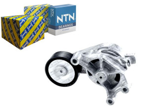 Napinacz Paska Wielorowkowego Audi A1 A3 Tt Seat A