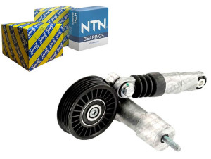 Napinacz Paska Wielorowkowego Audi A4 A6 Skoda Sup