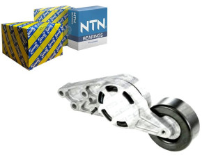 Napinacz Paska Wielorowkowego Audi A4 A6 Seat Exeo