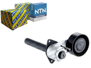 Napinacz Paska Wielorowkowego Bmw X5 (e70) X6 (e71