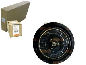 Sprężarka Klimatyzacji Behr Hella 8200958328 Rtk49
