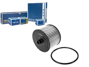 Filtr Paliwa Ford 2,0tdci Meyle