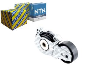 Napinacz Paska Wielorowkowego Mini (r50 R53) (r52)