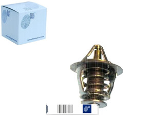 Termostat Toyota Blue Print