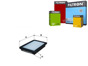 Filtr Powietrza Kia Filtron