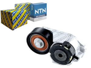 Napinacz Paska Wielorowkowego Ford Mondeo Iii Tran