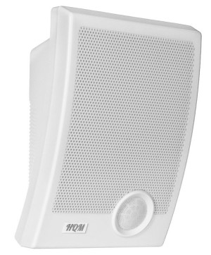 Głośnik naścienny HQM-N10165