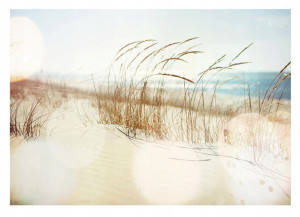 Fototapeta PLAŻA MORZE 3D Wydmy Trawa 416x254