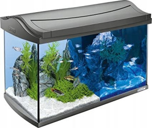 Tetra AquaArt Discovery Line LED Czarny 60L