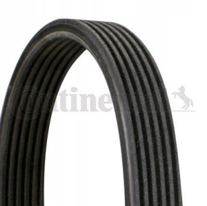 Conti Pasek Wieloklinowy Wielorowkowy 6dpk1697