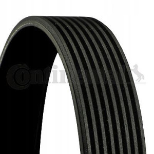 Conti Pasek Wieloklinowy Wielorowkowy 8pk1230