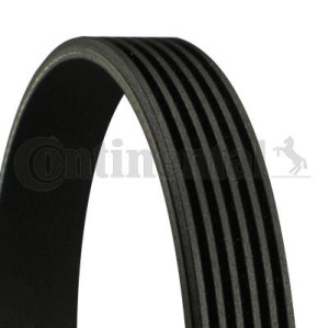 Conti Pasek Wielorowkowy Wieloklinowy 6pk1863