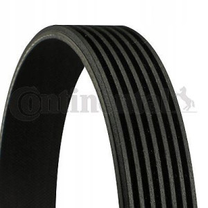 Conti Pasek Wielorowkowy Wieloklinowy 7pk1153