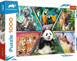 Trefl Puzzle 1000 El Królestwo Zwierząt